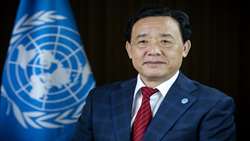 FAO ready to follow up on the UN Food System Summit and transform Agri-Food Systems Together