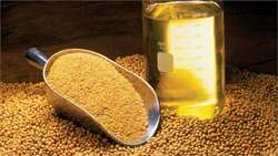 The Minister of Jihad-Agricultural has emphasized on the need for revolutionary action in producing oil and rapesead meal in the country