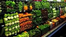 Ninety-one percent of the forecast made on green and summer production and greenhouse fruits is met