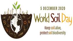 WORLD SOIL DAY 2020
