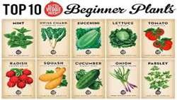 35% increase in the production of certified vegetables and summer seeds in the country