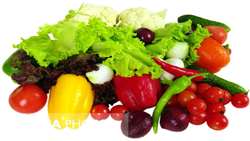 Production of 27 million tons of vegetables and summer in the 2019-2020 crop year