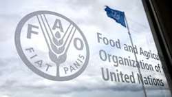 FAO shares international expertise and knowledge with Iran in Early Warning Early Action systems
