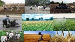 Sustainable development of agriculture in Iran