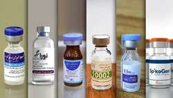 Iran to build livestock vaccine production units in Africa