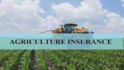Iran can become a regional hub for agro products insurance, official says