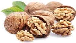 Iran ranks third in walnut production in the world