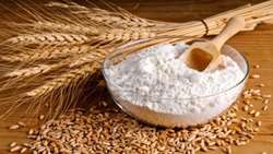 830 thousand tons of wheat, surplus on the needs of farmers, have been purchased from them