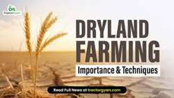 Iran Agriculture Ministry, FAO explore ways to enhance dryland agriculture productivity