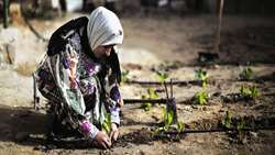 Iran, Near Eastern countries discuss responses to COVID-19 and expanding mutual coordination during FAO Regional Conference