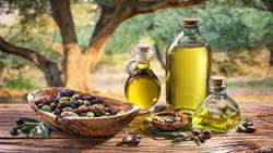 Production of 11,600 tons of olive oil in the country
