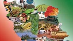 23% growth in crop production in the last 5 years in IRAN