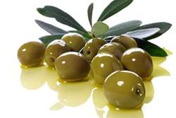 Olive production in Iran expected to rise by 100%, official says 