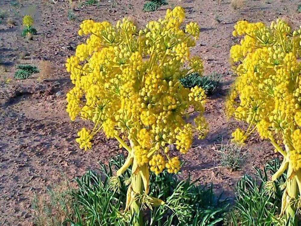 96efc0cd-1bea-4663-b70d-ab442dbfb518 