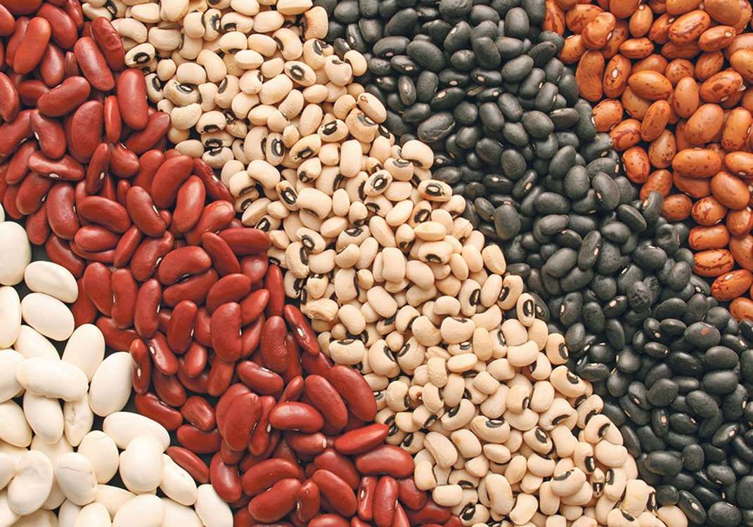 beans-GettyImages-157280488 