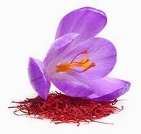  Saffron 