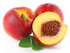 Nectarine