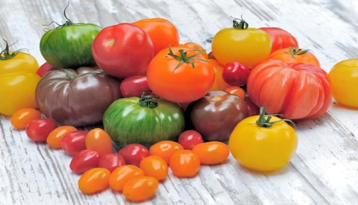 Iran annual tomato exports reach $233m