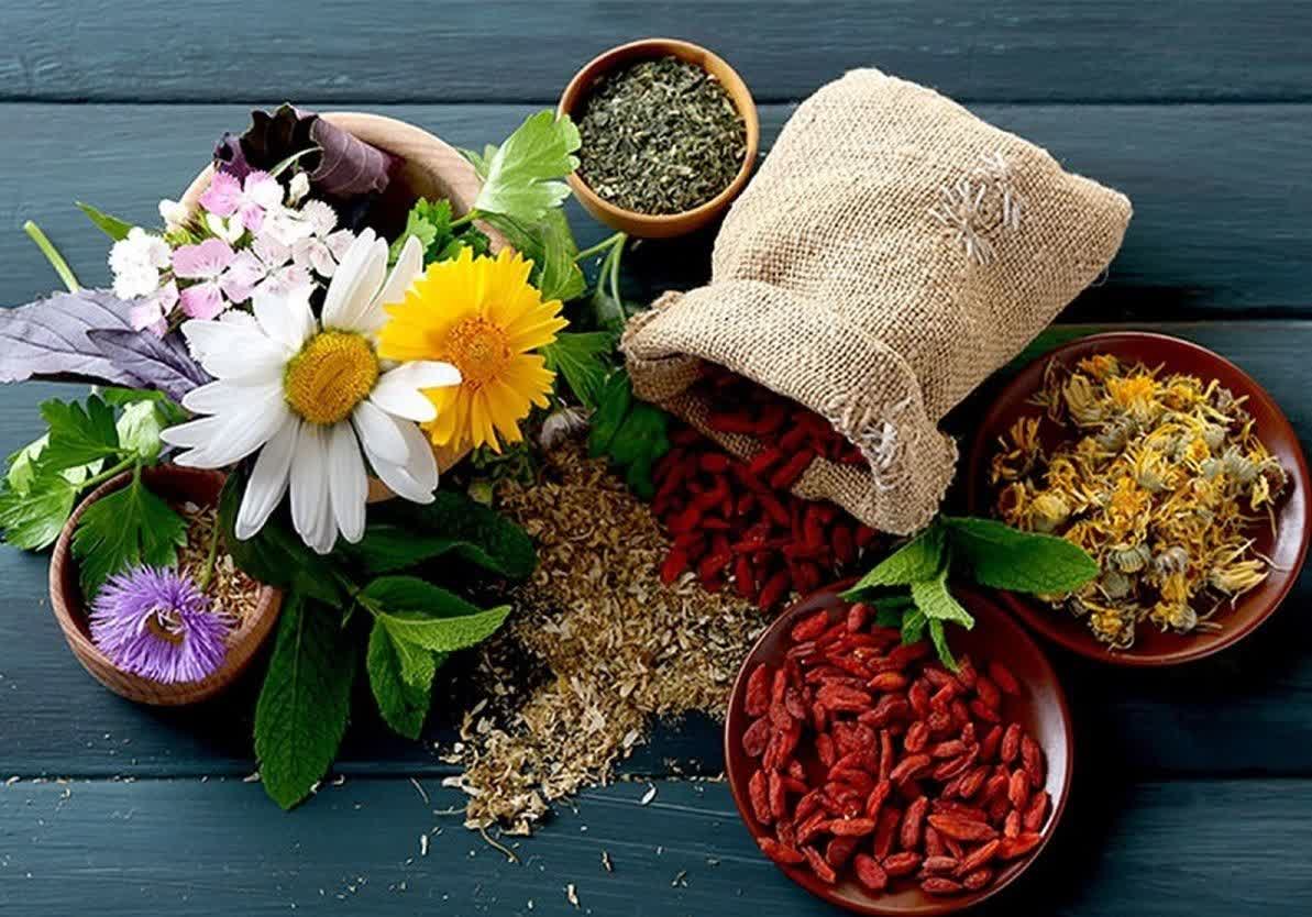 Khorasan Razavi leads Iran’s medicinal plant sector with productivity-driven strategy