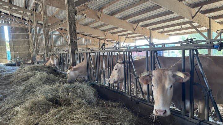 French farmers deplete winter fodder reserves amid severe drought