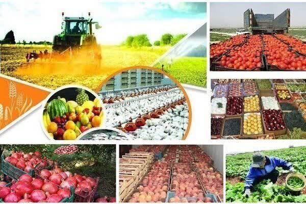 Iran’s agricultural sector records 5.5 percent growth despite drought