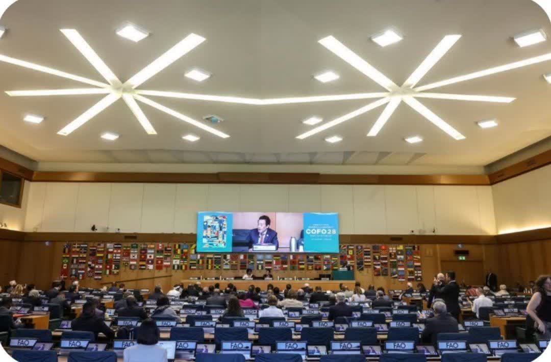 Iran urges integrated approach to forest fire management