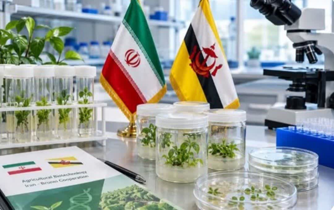 Iran, Brunei prioritize agricultural biotech in new cooperation drive