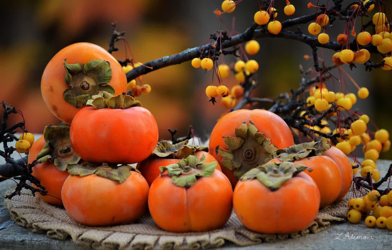 Iran’s Golestan leads persimmon production with 13,000-ton harvest forecast