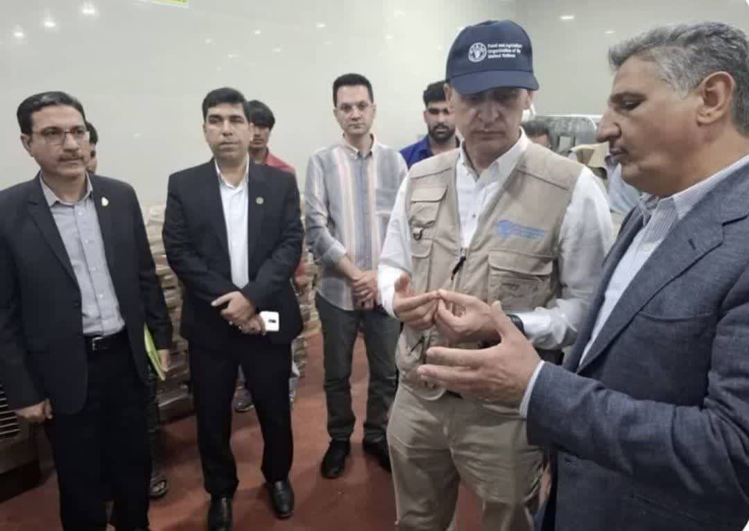 Iran tests new technology to fight destructive date palm pest in FAO partnership
