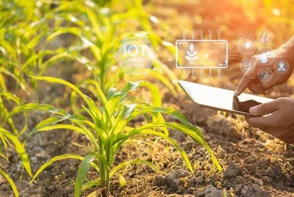 Market reform essential for Iran’s shift to digital agricultural trade, researcher says 