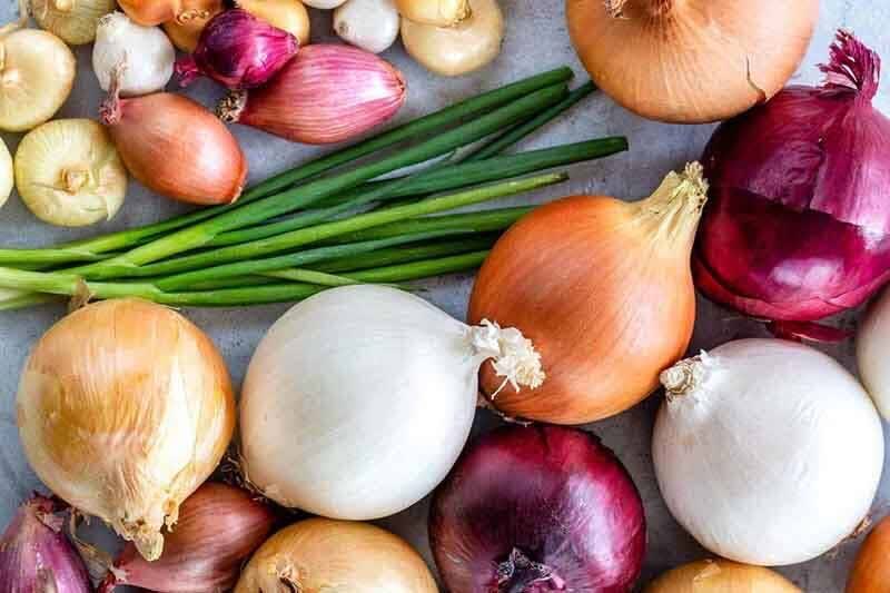 North Khorasan targets 5,000 tons of onion exports