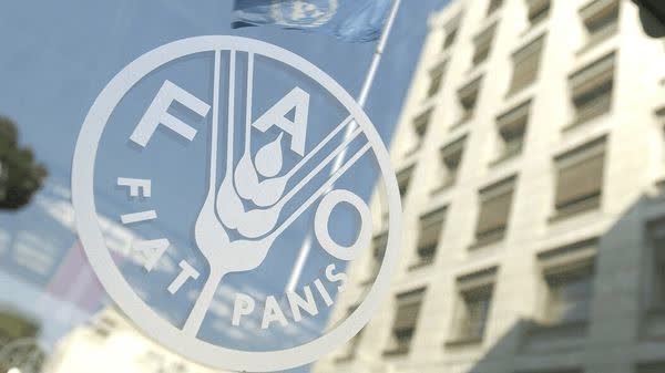 World food prices at highest since 2022 as supply risks mount, FAO says