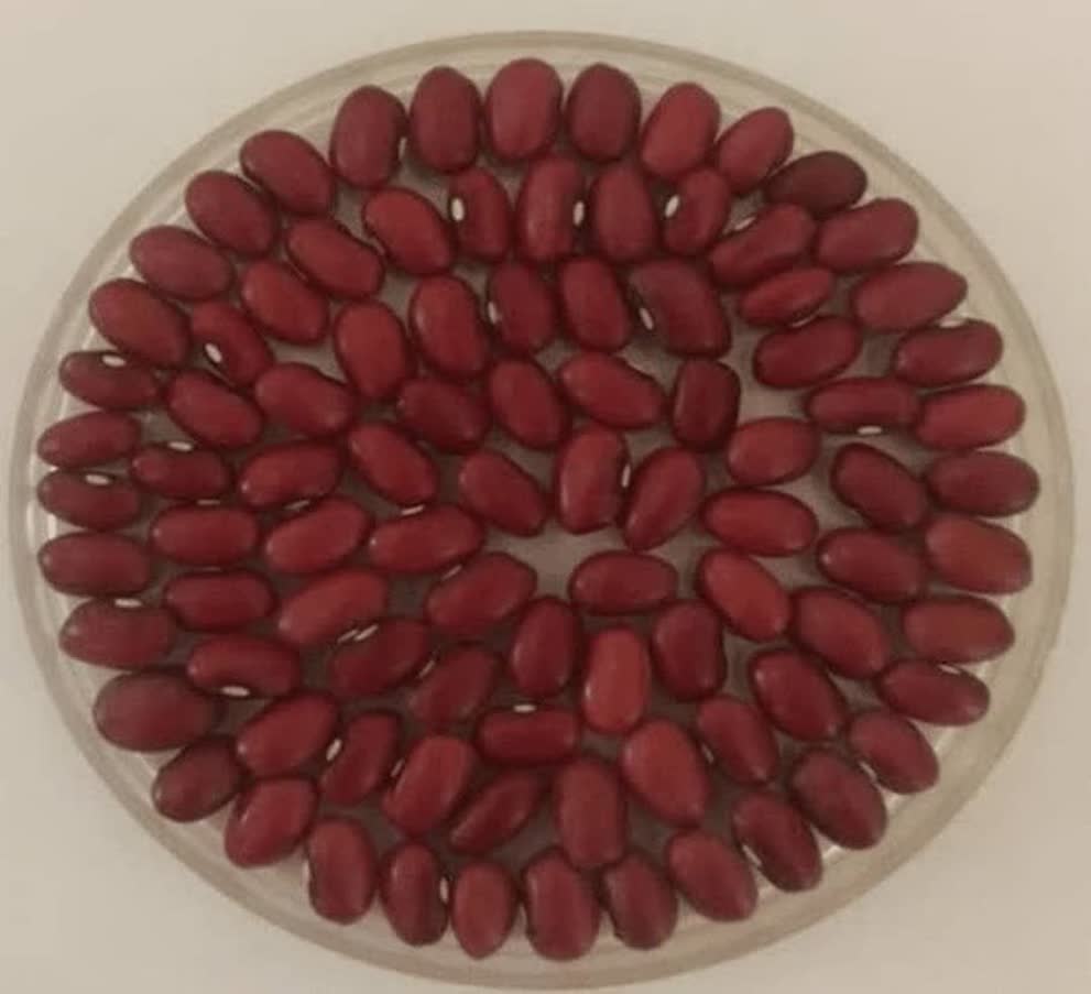 Markazi province Iran’s sole bean genetic reserve: Official