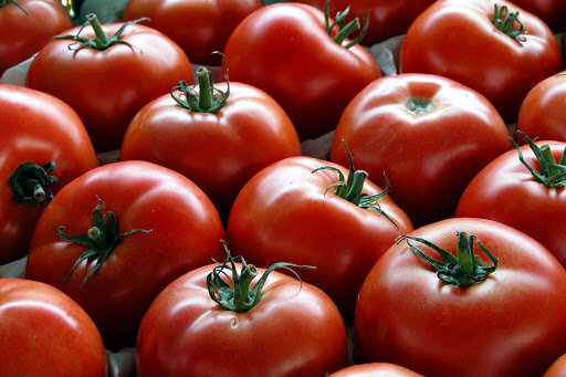 Eram emerges as a new hub for Iran’s off-season tomato exports